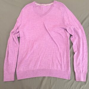 Express V-Neck Sweater in Lavender